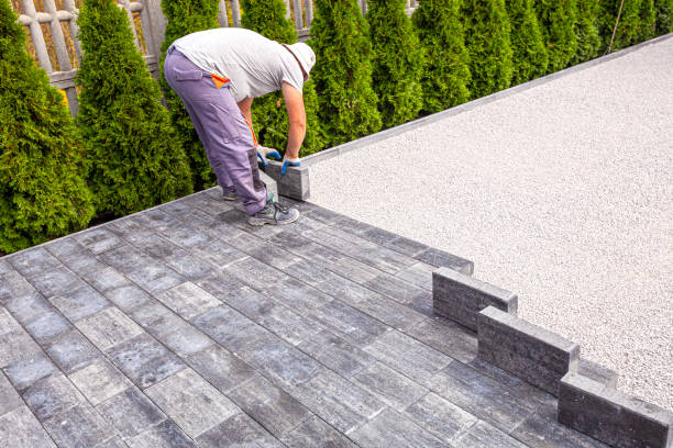 Best Driveway Paving Contractor  in Cedar City, UT