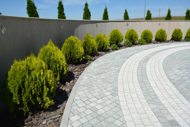 Best Driveway Pavers Near Me  in Cedar City, UT
